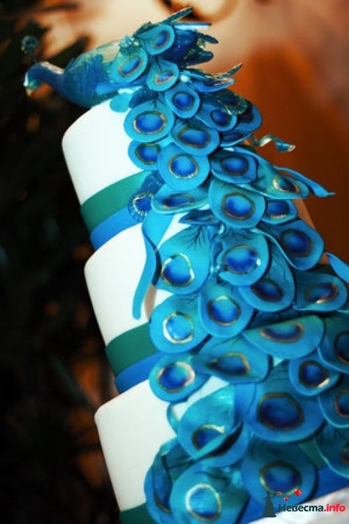 Delicious peacock wedding cakes especial for thematic concerns of peacock wedding pictures Delicious peacock wedding cakes especial