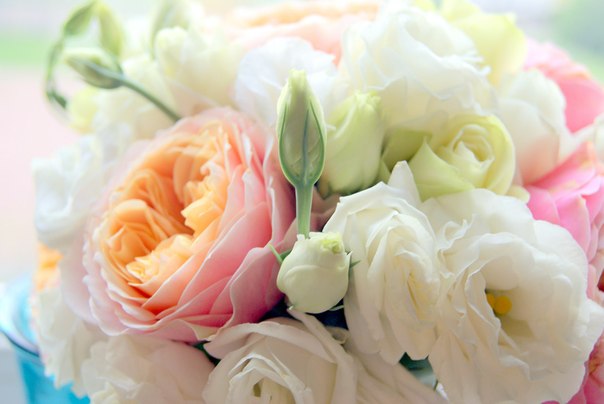 Flowerberry Москва Фотографии