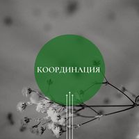 Координация свадебного дня 