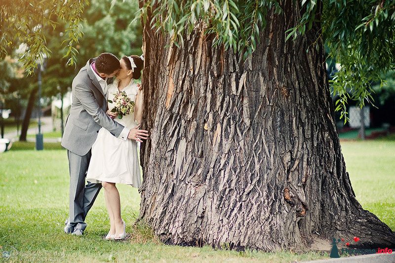 Жених и невеста, прислонившись друг к другу, сидят на фоне дерева - фото 87635 Фотограф Радосвет Лапин