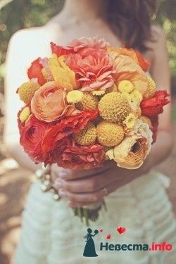 Фото 227416 в коллекции Мои фотографии - Darly