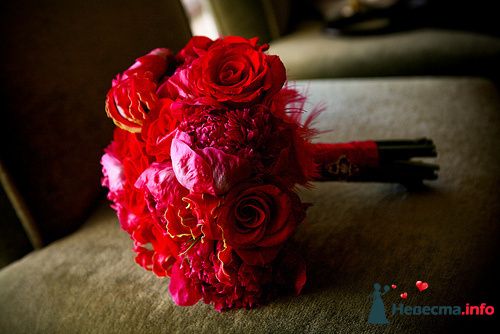 Фото 227435 в коллекции Мои фотографии - Darly