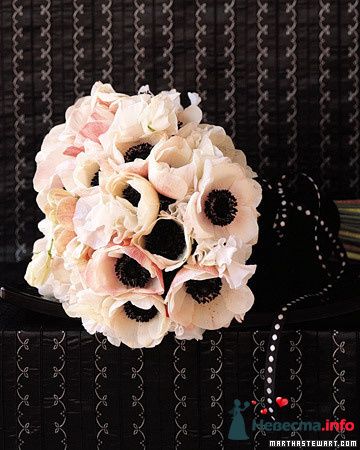 Фото 228370 в коллекции Мои фотографии - Darly