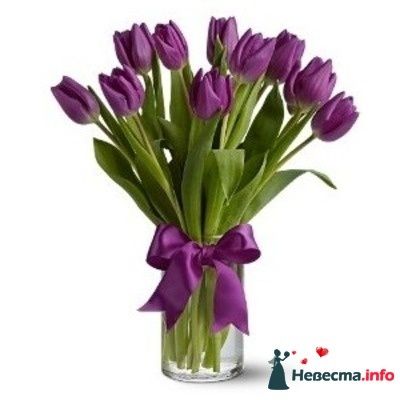 Фото 243355 в коллекции Мои фотографии - Darly