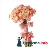 Фото 243489 в коллекции Мои фотографии - Darly