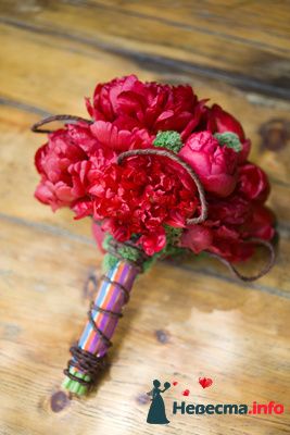 Фото 243555 в коллекции Мои фотографии - Darly