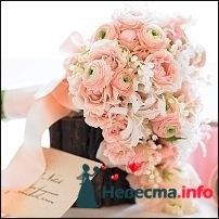 Фото 243740 в коллекции Мои фотографии - Darly