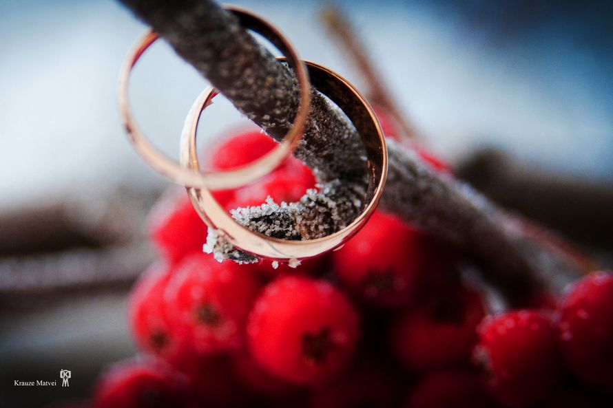 Обручальные кольца, выполненные в классическом стиле на ветке рябины. - фото 1683153 Фотограф Краузе Матвей