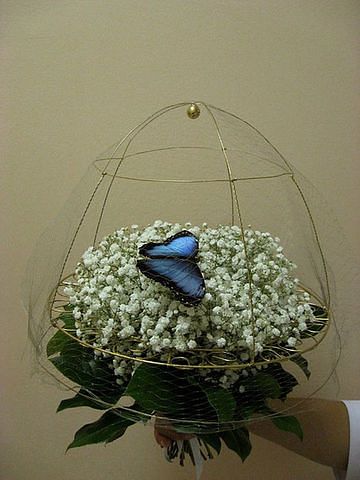 Фото 824973 в коллекции Упаковка для бабочек. - Batterfly - живые бабочки в подарок