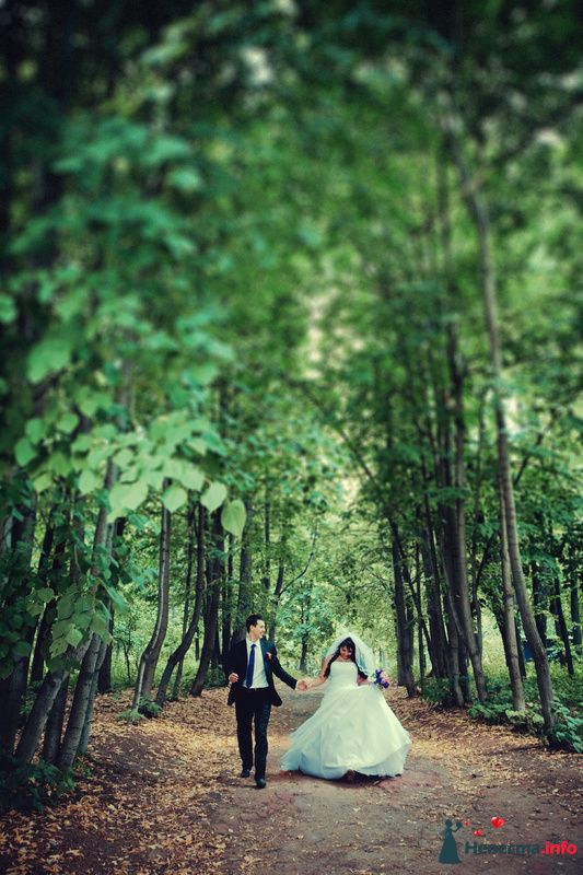 Фото 158651 в коллекции Мои фотографии - Алено4ка