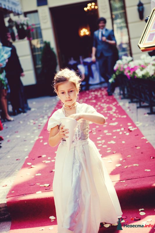 Фото 158666 в коллекции Мои фотографии - Алено4ка