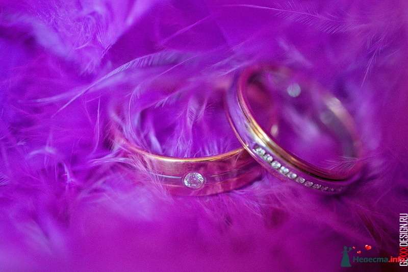 Обручальные кольца с бриллиантами на фоне ткани цвета фуксии. - фото 193326 Assoll