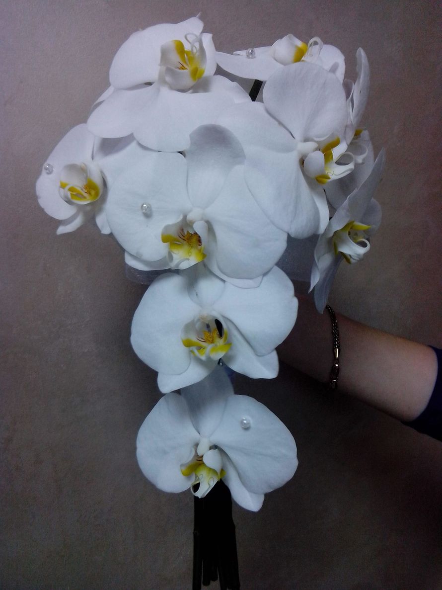 Фото 10430572 в коллекции Портфолио - Салон цветов "Ирис"