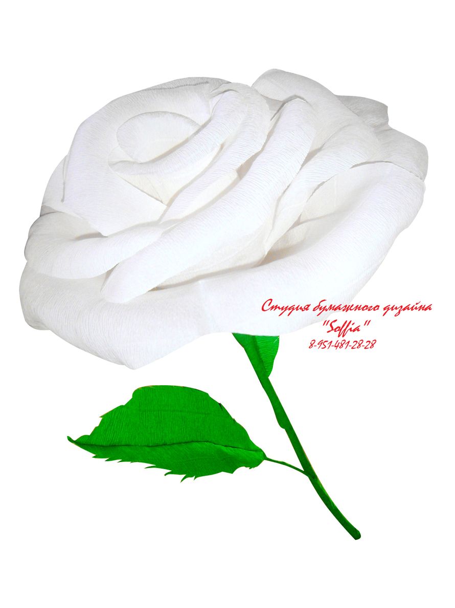 Гигантская роза для фотосессии - фото 2563027 Студия бумажного дизайна "Soffia"