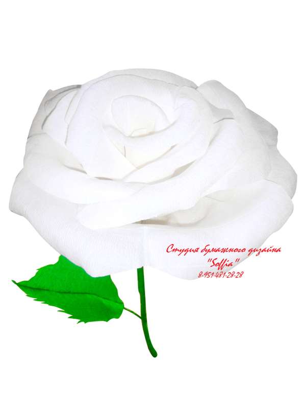Гигантская роза для фотосессии - фото 2563031 Студия бумажного дизайна "Soffia"