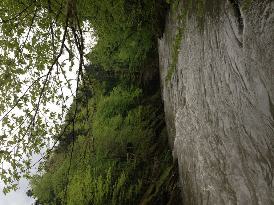 Фото 2338838 в коллекции Мои фотографии - наперегонки