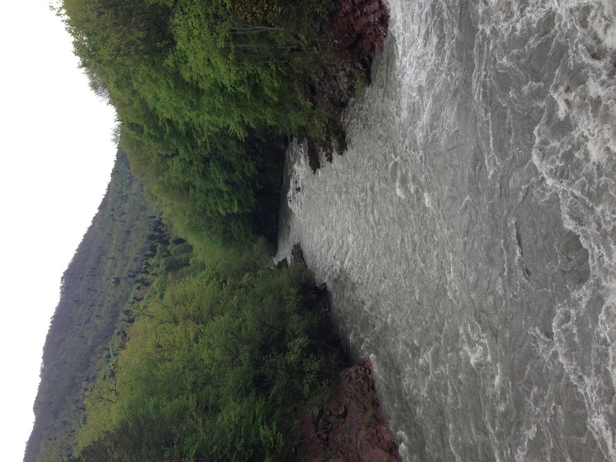 Фото 2338840 в коллекции Мои фотографии - наперегонки