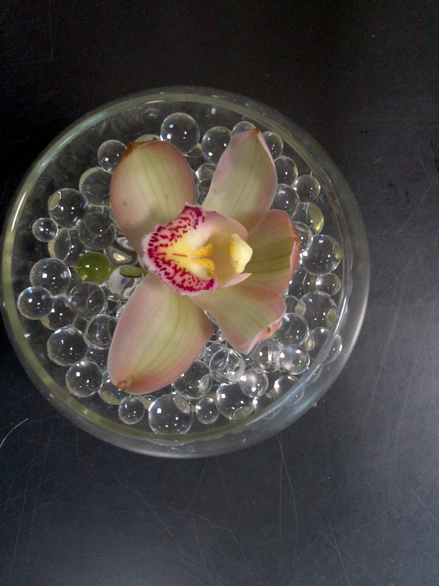 цветок цимбидиума в геле - фото 1350181 Цветочная коллекция - оформление свадьбы