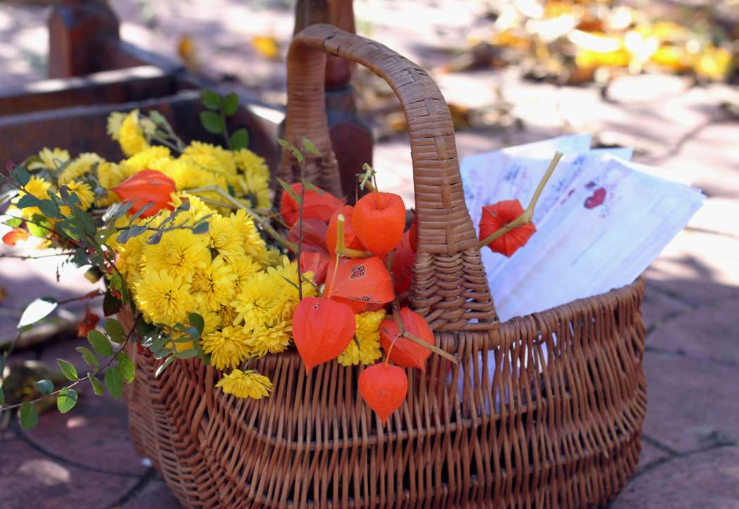 Оформление осенней фотосессии в парке: лозовая корзина с жёлтыми хризантемами и физалисом - фото 1571507 Cinnamon Studio - оформление и Candy-bar