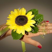 Опишите фотографию здесь