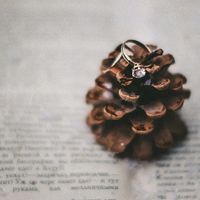 альтернатива подушечке для колец