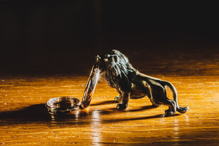 Обручальные кольца с бриллиантами на фоне статуэтки льва. - фото 1882943 Фотограф Грязнов Сергей