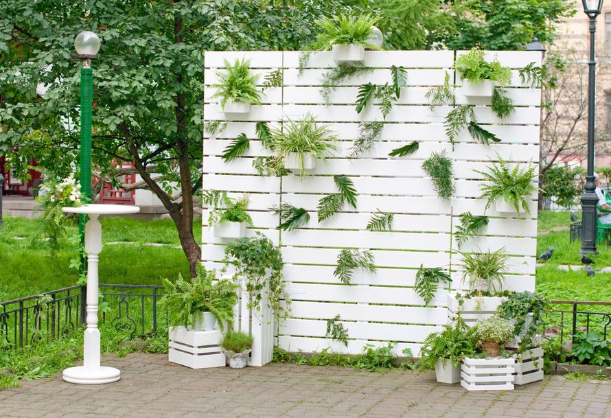 фотозона белая стена с зеленью - фото 15531056 Студия флористики и декора "Глориоза"