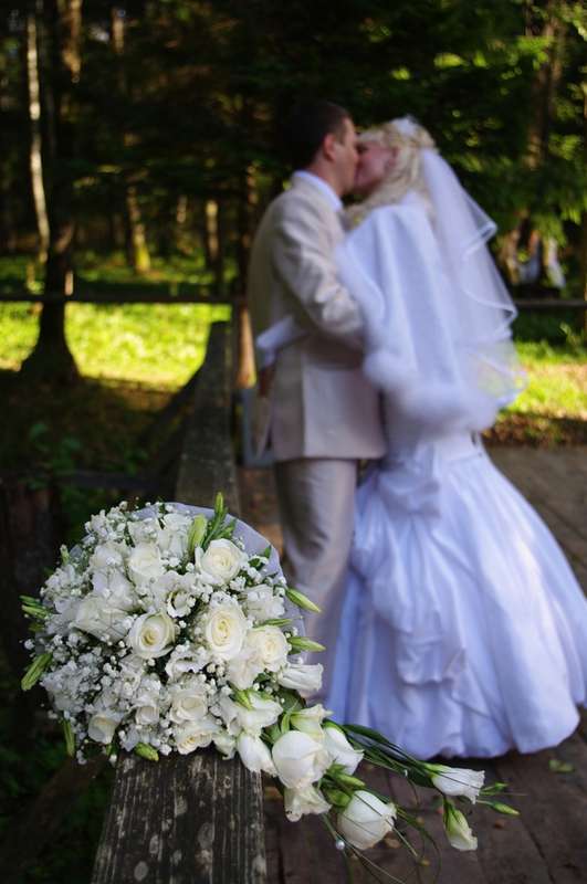 Фото 1329444 в коллекции Свадебные фото - Свадебный фотограф Лузган Юлия