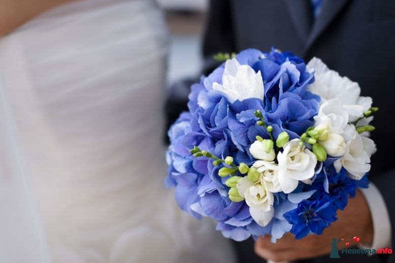 Жених в темно-синем костюме с букетом невесты в круглом стиле из голубых гортензий и белых фрезий в руках - фото 444134 Кабачок
