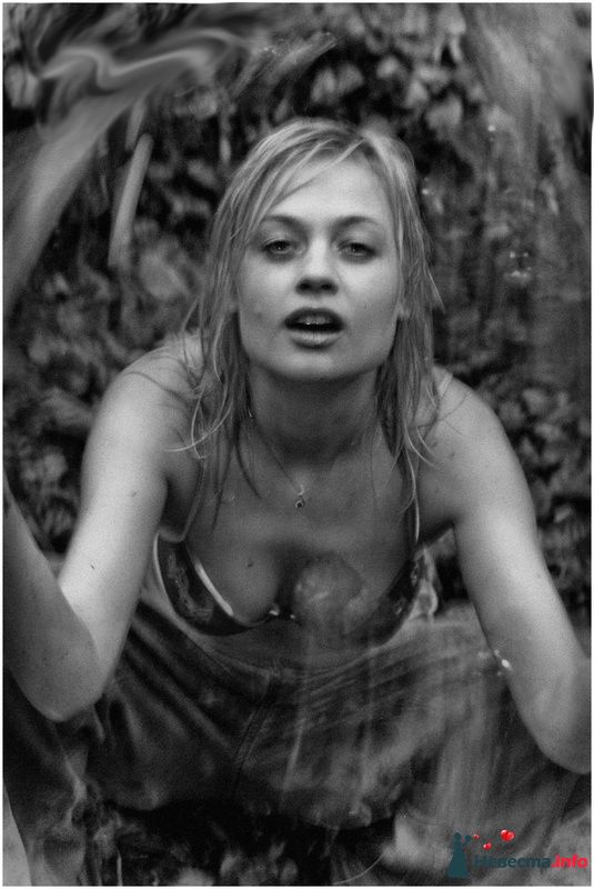 Фото 151079 в коллекции Лиса - Фотограф-художник - Гузель Хикматуллина