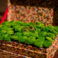 Коробочка-подставка для колец с зелёными хризантемами