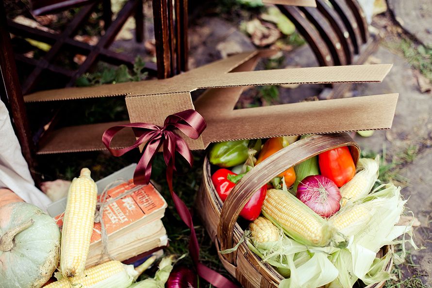 Оформление осенней фотосессии свадьбы в стиле рустик: макет самолёта, украшенный бордовой лентой, книги, овощи в корзине - фото 1775225 Teplo Event Bureau