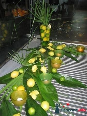 Фото 150972 в коллекции Мои фотографии - LanaLana