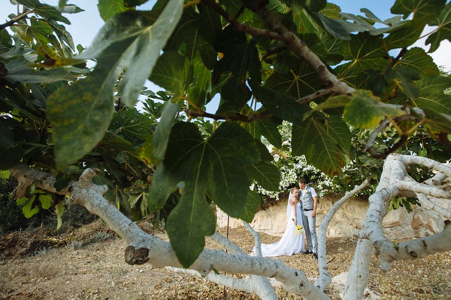 Фото 3404933 в коллекции Мои фотографии - Маруська-Маруська