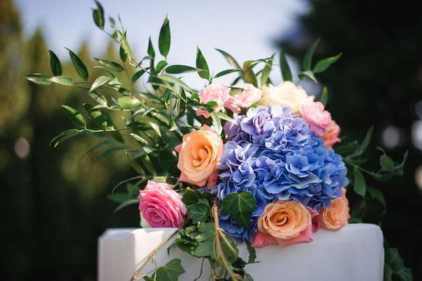 Букет из розовых и коралловых роз, голубой гортензии, рускуса и плюща.  - фото 3617827 Бутоника. Цветы и ландшафты