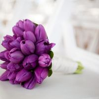Букет для фиолетовой свадьбы из тюльпанов