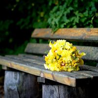 Желтый букет невесты из калл, орхидей и астр
