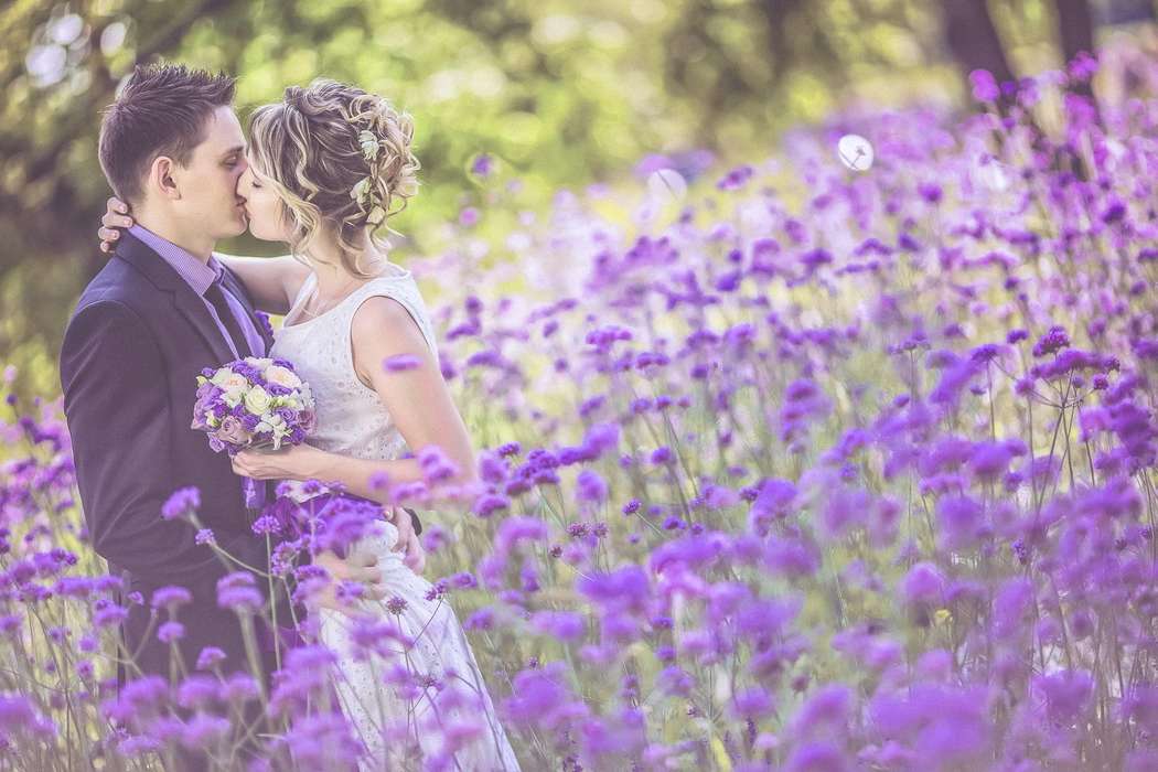 Жених и невеста целуются в поле среди фиолетовых цветов - фото 3667961 Z-team -команда профессиональных фотографов