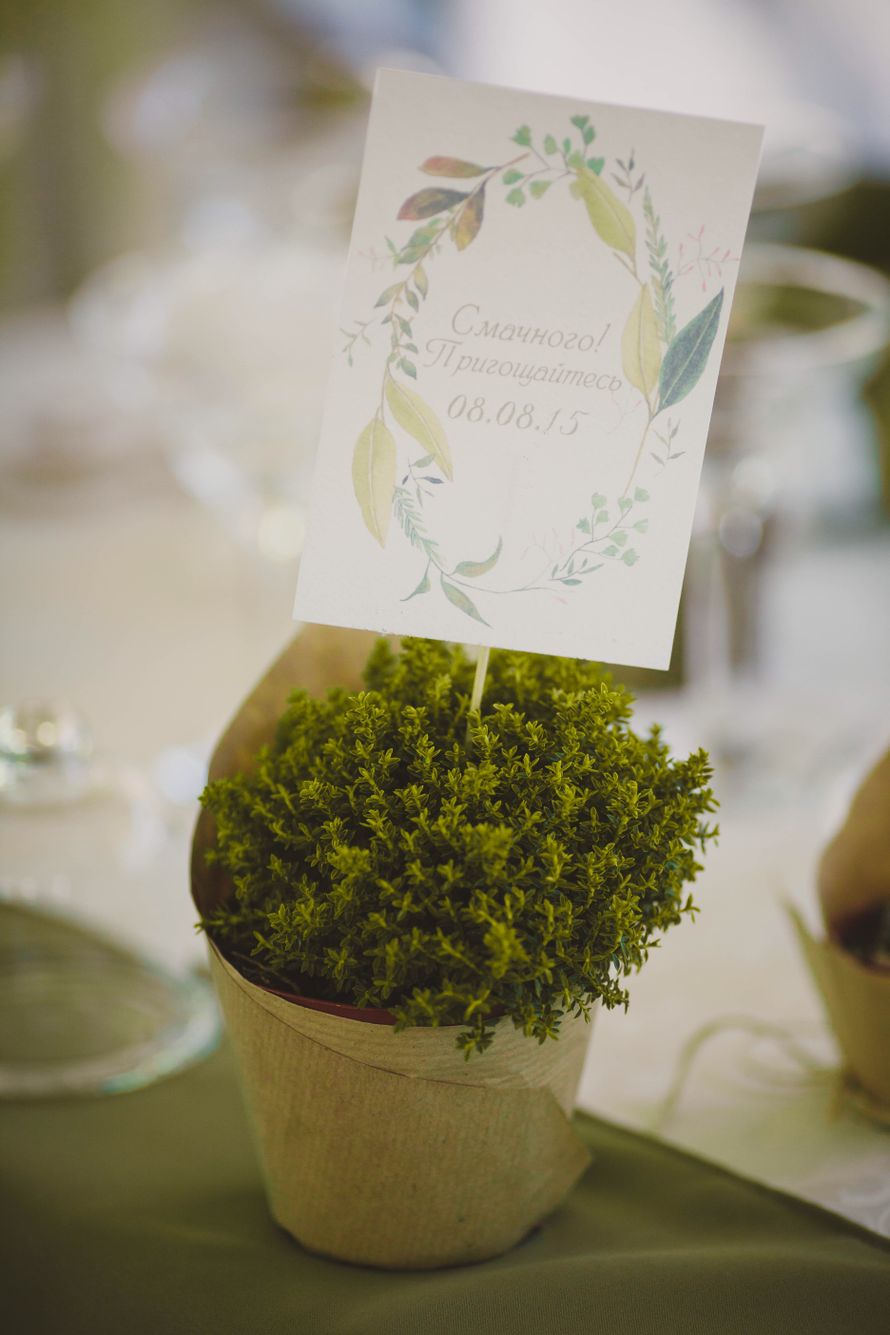 Фото 11212262 в коллекции Портфолио - Lalalu - цветочное бюро