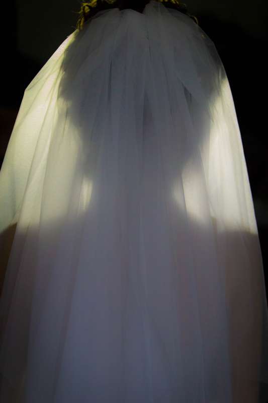 Фото 2099074 в коллекции Мои фотографии - Фотограф, Дом невесты "Шикарная Свадьба"