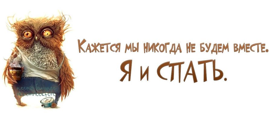 Смешные открытки про сон