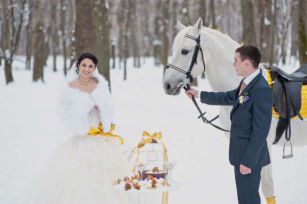 Жених и невеста стоят в заснеженном лесу и жених держит за поводья белую лошадь - фото 1334375 Family Tree - Павел и Мария Тереховы - фотографы