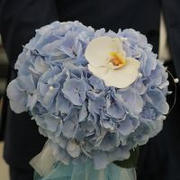 Букет невесты из голубых гортензий и белой орхидеи