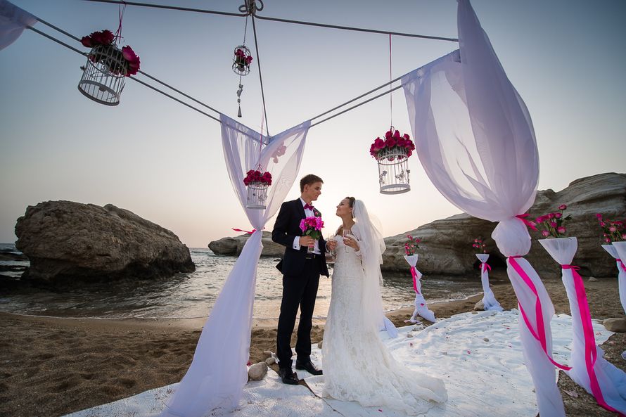 Под сводом свадебного шатра, украшенного белой газовой тканью и цветами, стоят молодожены с бокалами шампанского в руках, жених в - фото 2916789 Фотограф Стас Хара