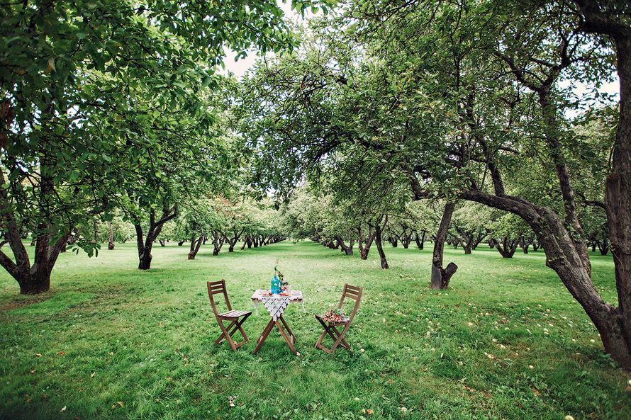 в парке стоит раскладной столик и два деревянных стула, на столике синяя ваза с цветами - фото 3397997 Фотограф Алёна Парфёнова