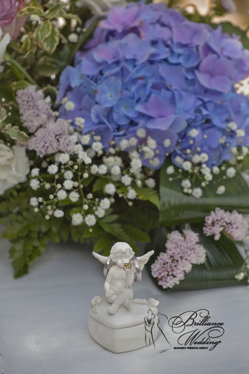 Кольца держал ангел... - фото 2979863 Brilliance Wedding - свадьба в Испании
