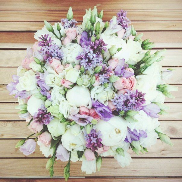 Фото 3292497 в коллекции Мои фотографии - komorina_a