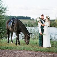 Жених и невеста, лошадь ест траву