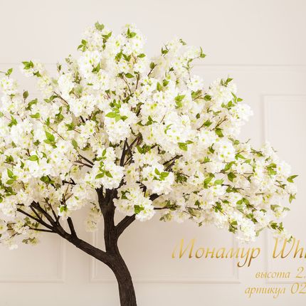 Аренда цветущей белой яблони на сутки 