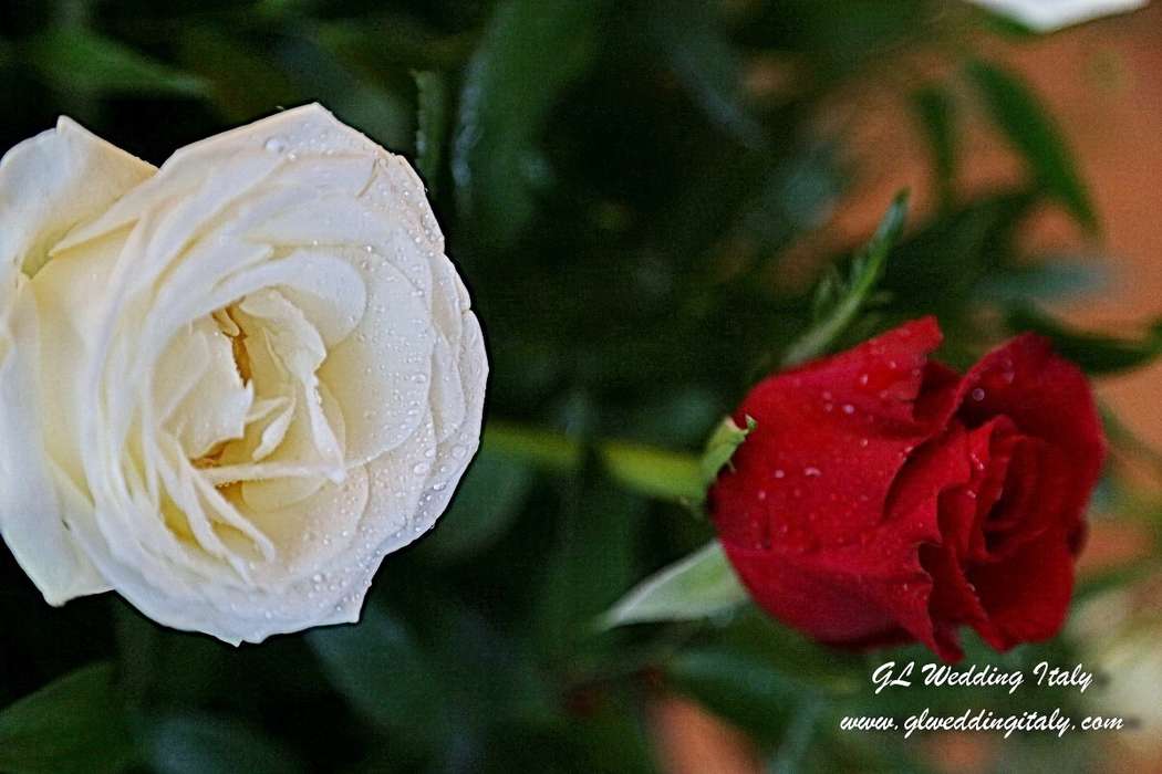 Сказка о соединении двух королевст: красной розы (Вальтер) и белой розы(Анна) - фото 3370881 GL wedding Italy - организация свадьбы